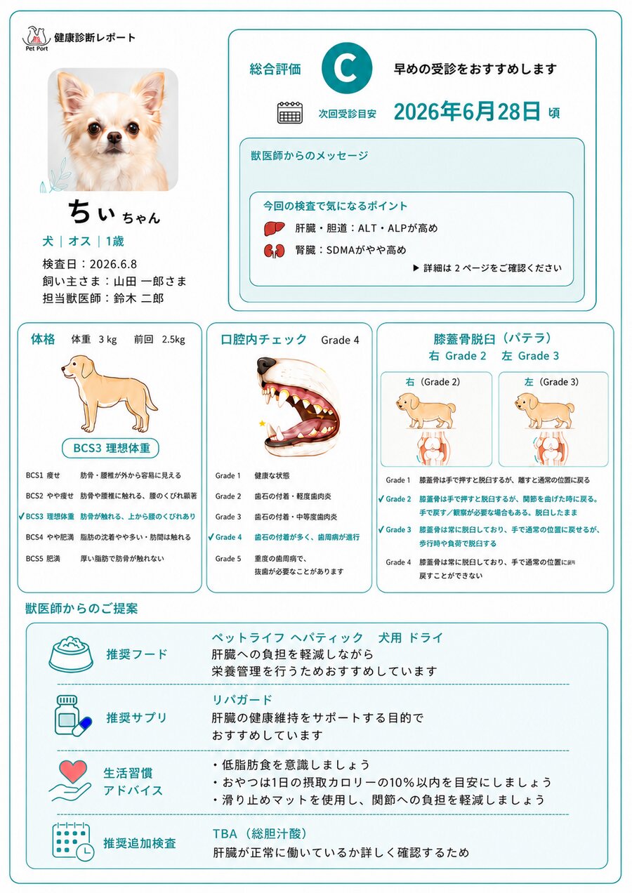 健康診断レポート例