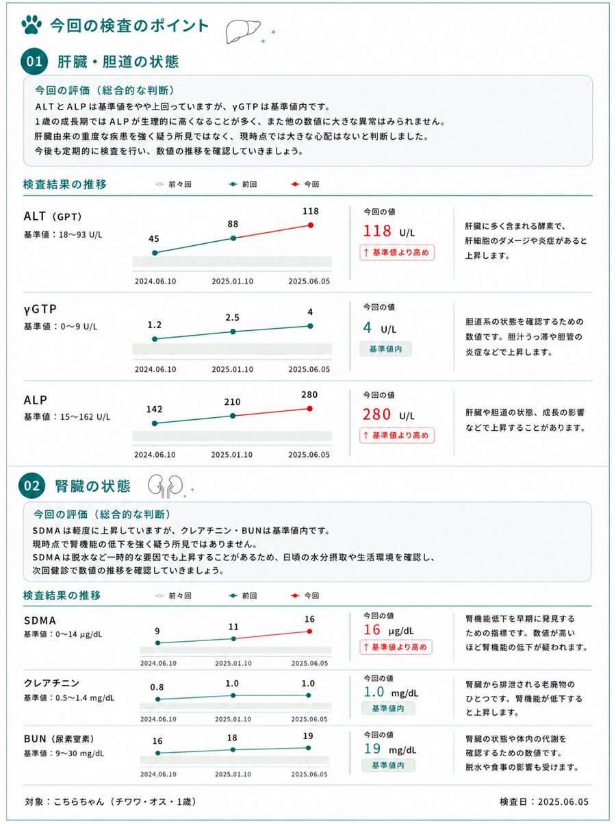 健康診断レポート例（2ページ目）